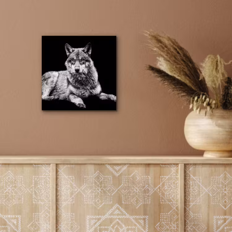 Aluminium schilderij - Wilde dieren - Wolf - Zwart - Wit — 5