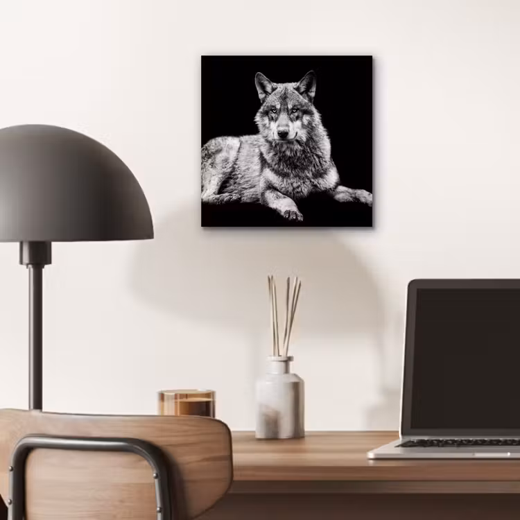 Aluminium schilderij - Wilde dieren - Wolf - Zwart - Wit — 6