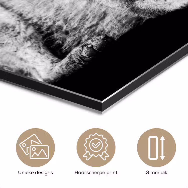 Aluminium schilderij - Wilde dieren - Wolf - Zwart - Wit — 7
