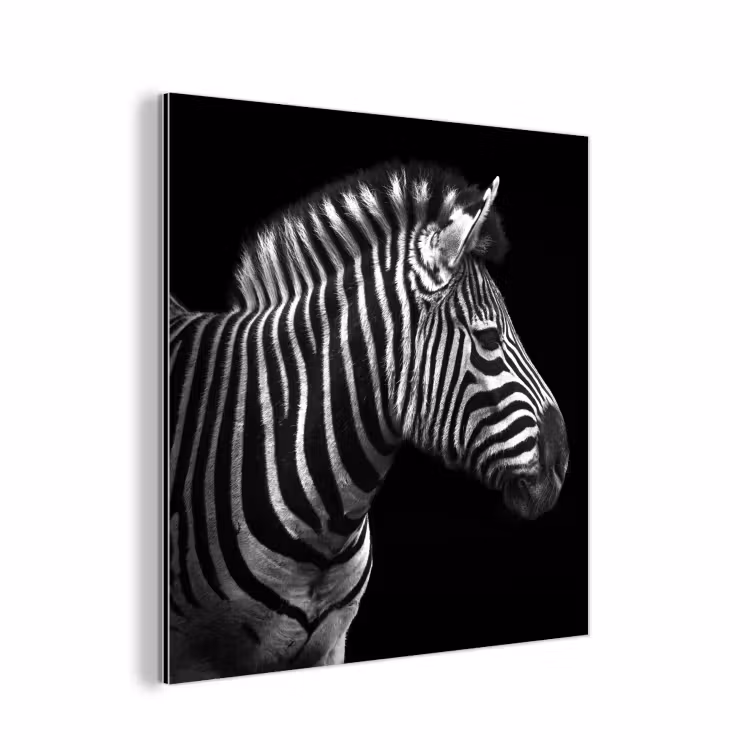 Aluminium schilderij - Zebra - Zwart - Wit - Portret - Dieren — 1