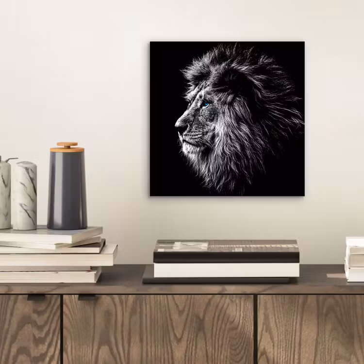 Aluminium schilderij - Zwart Wit - Leeuw - Kop - Dieren — 2