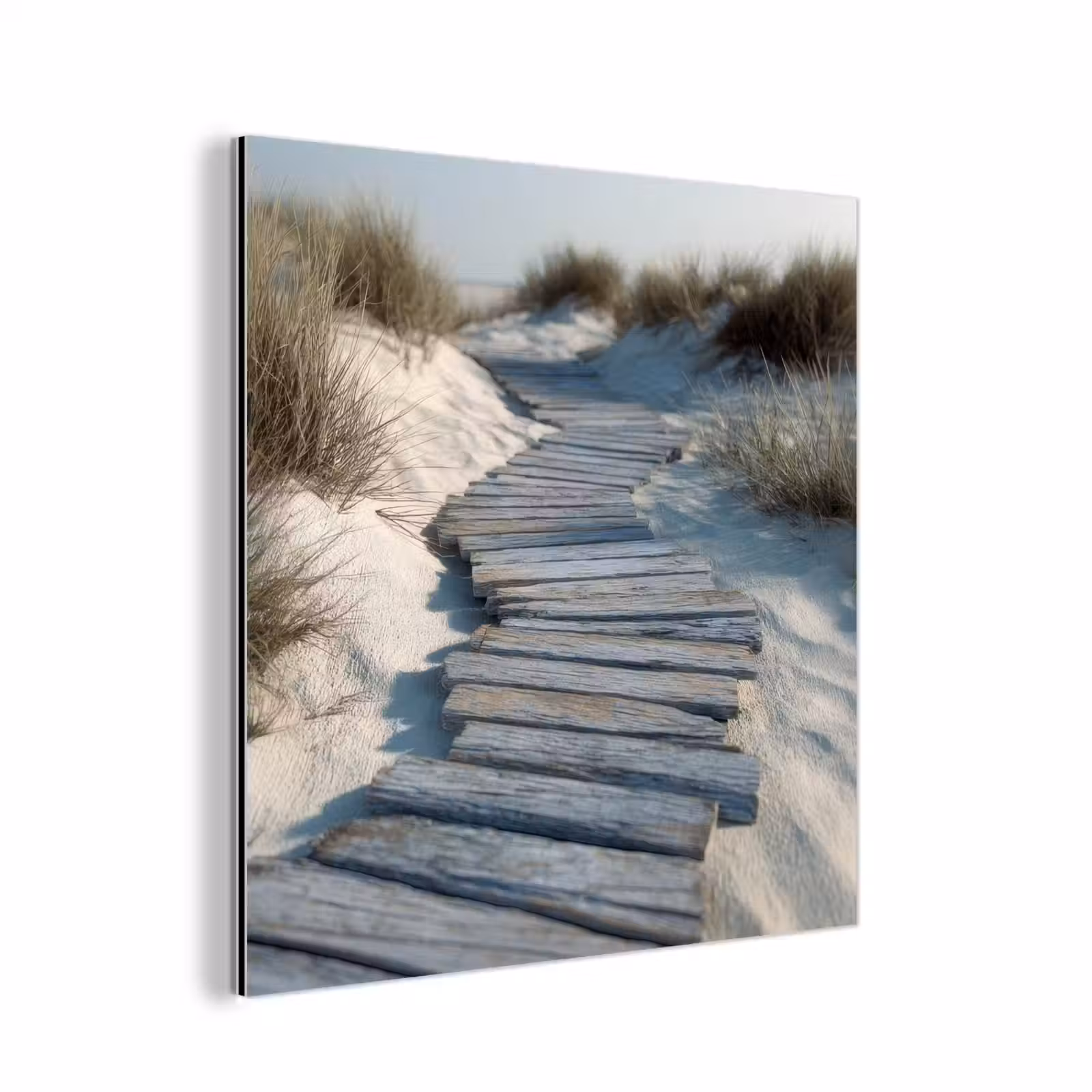 Aluminium schilderij - Pad - Planken - Duinen - Gras — 1