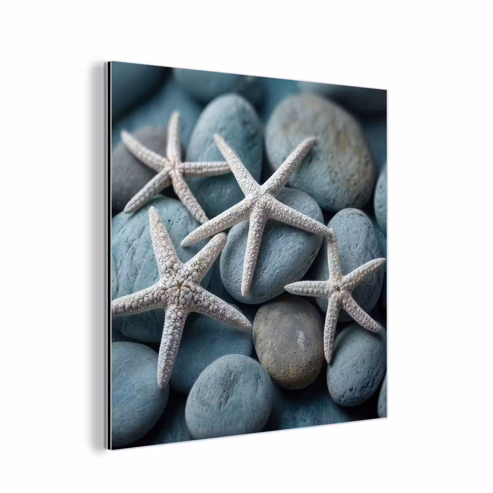 Aluminium schilderij - Zeesterren - Stenen - Wit — 1