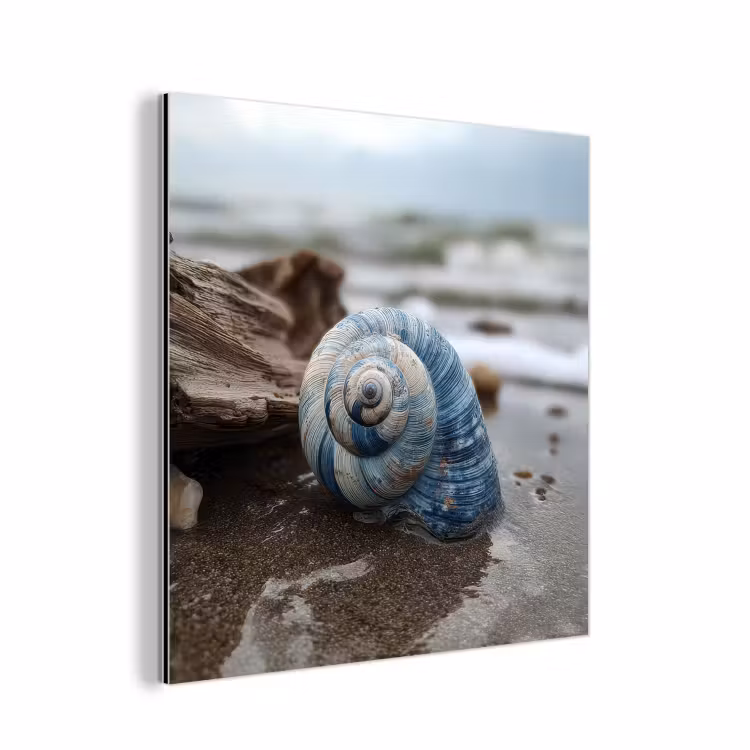 Aluminium schilderij - Schelp - Strand - Blauw - Zee — 1