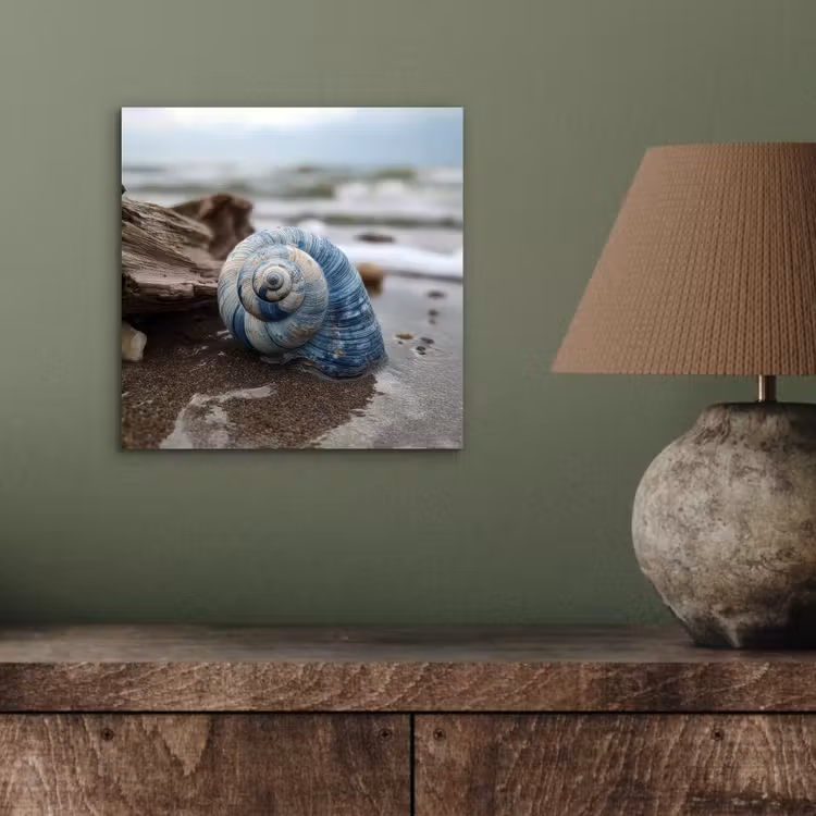 Aluminium schilderij - Schelp - Strand - Blauw - Zee — 3