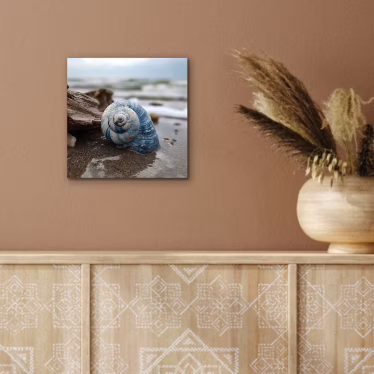 Aluminium schilderij - Schelp - Strand - Blauw - Zee — 5