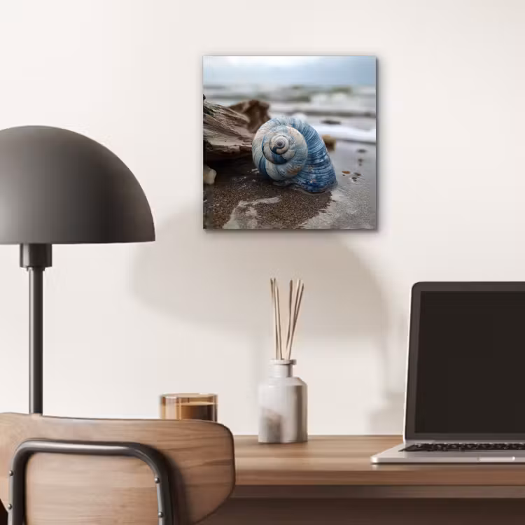 Aluminium schilderij - Schelp - Strand - Blauw - Zee — 6