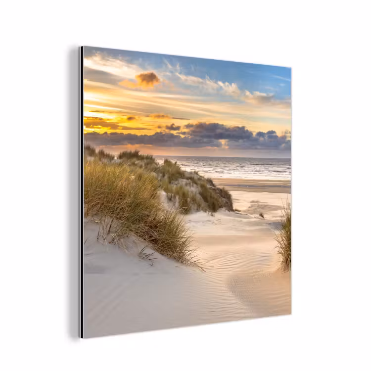 Aluminium schilderij - Strand - Duin - Gras - Zonsondergang - Zee — 1