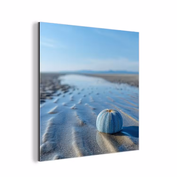 Aluminium schilderij - Strand - Schild - Water - Blauw — 1