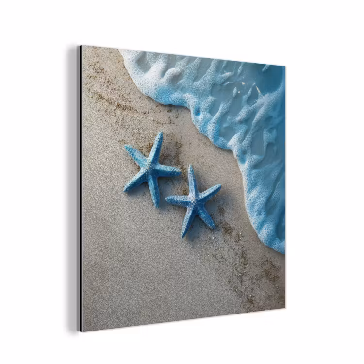 Aluminium schilderij - Zeesterren - Zand - Zee - Blauw — 1