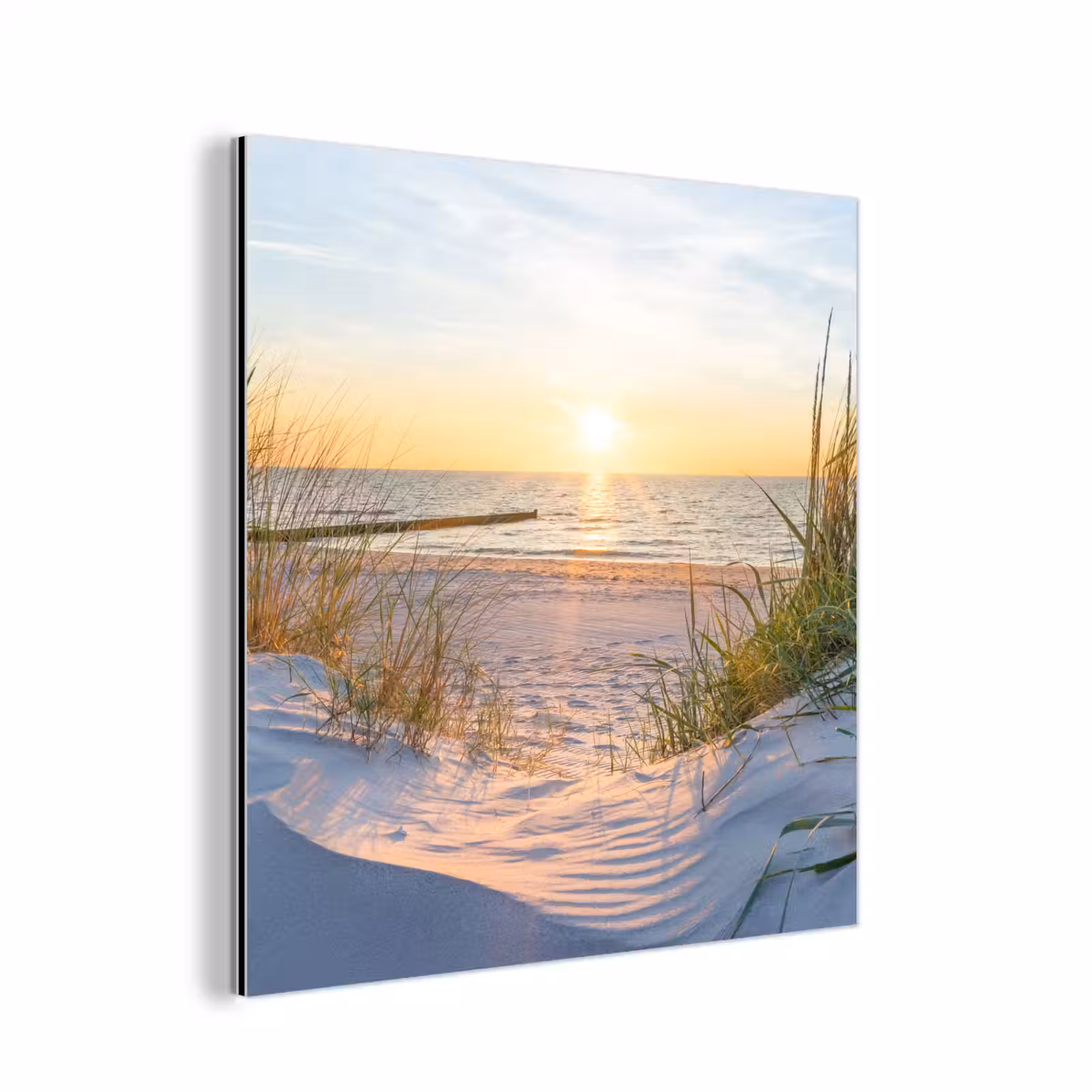 Aluminium schilderij - Strand - Zon - Duin - Gras - Zand - Horizon — 1