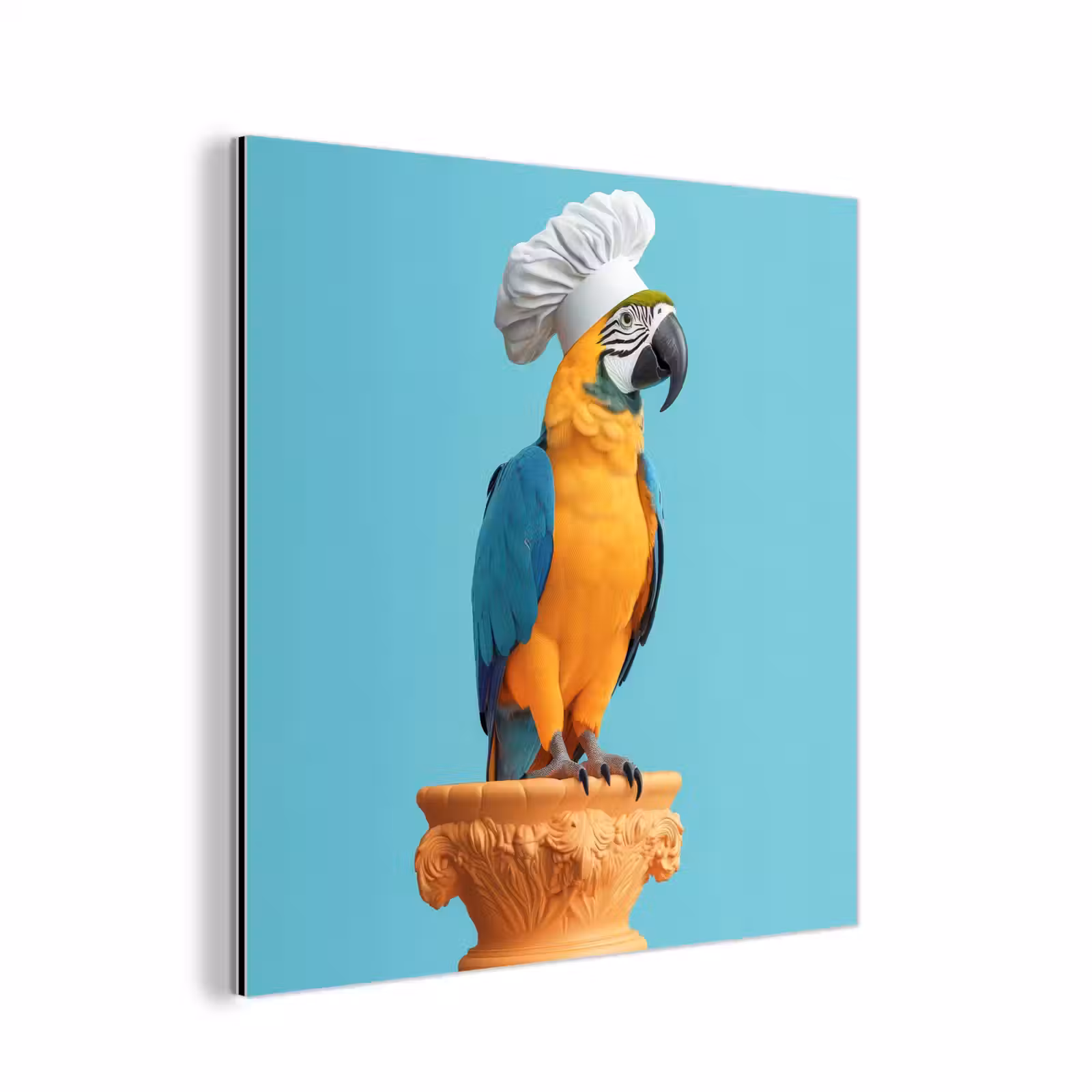 Aluminium schilderij - Papegaai - Koksmuts - Grappig - Vogel — 1