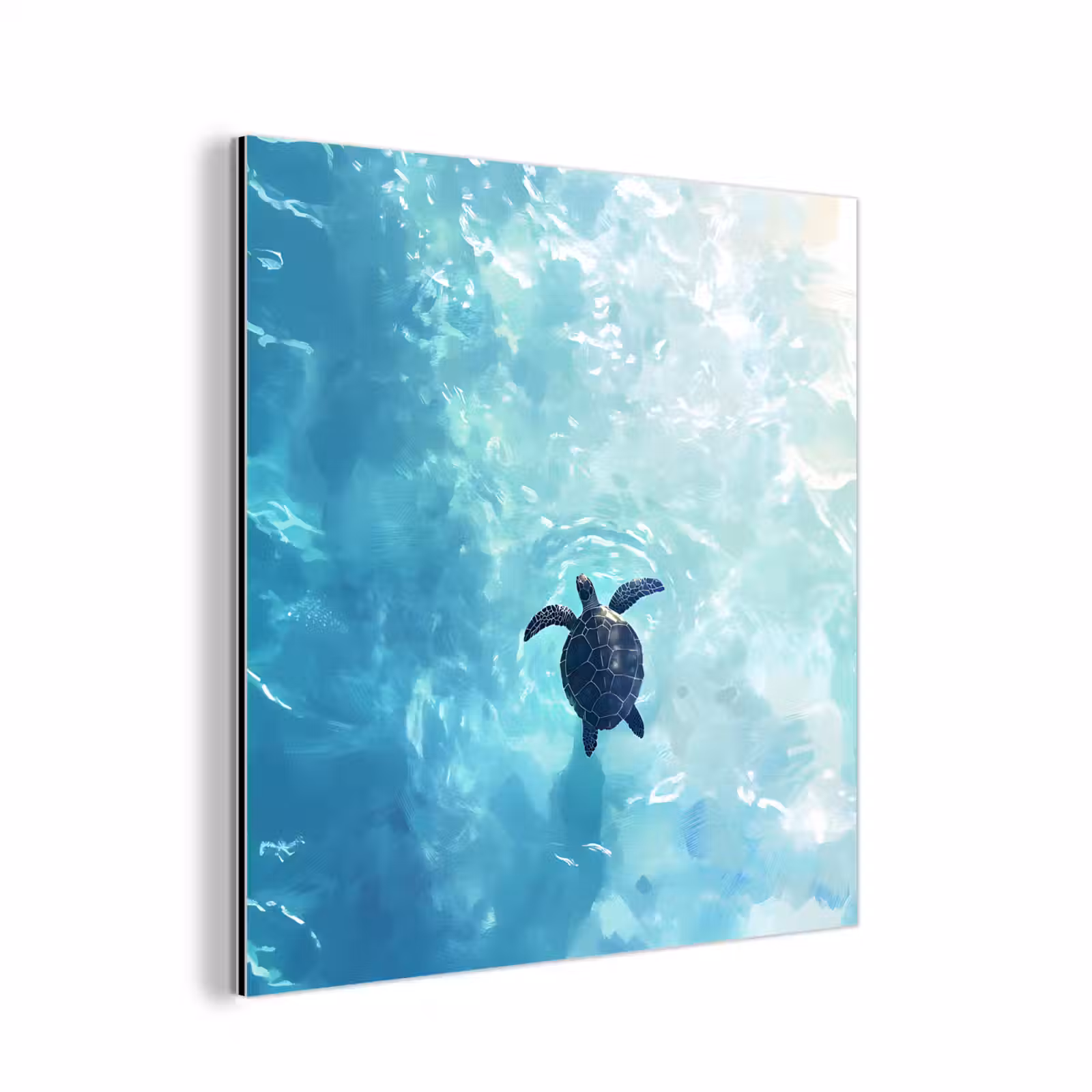 Aluminium schilderij - Schildpad - Zee - Blauw - Schittering — 1
