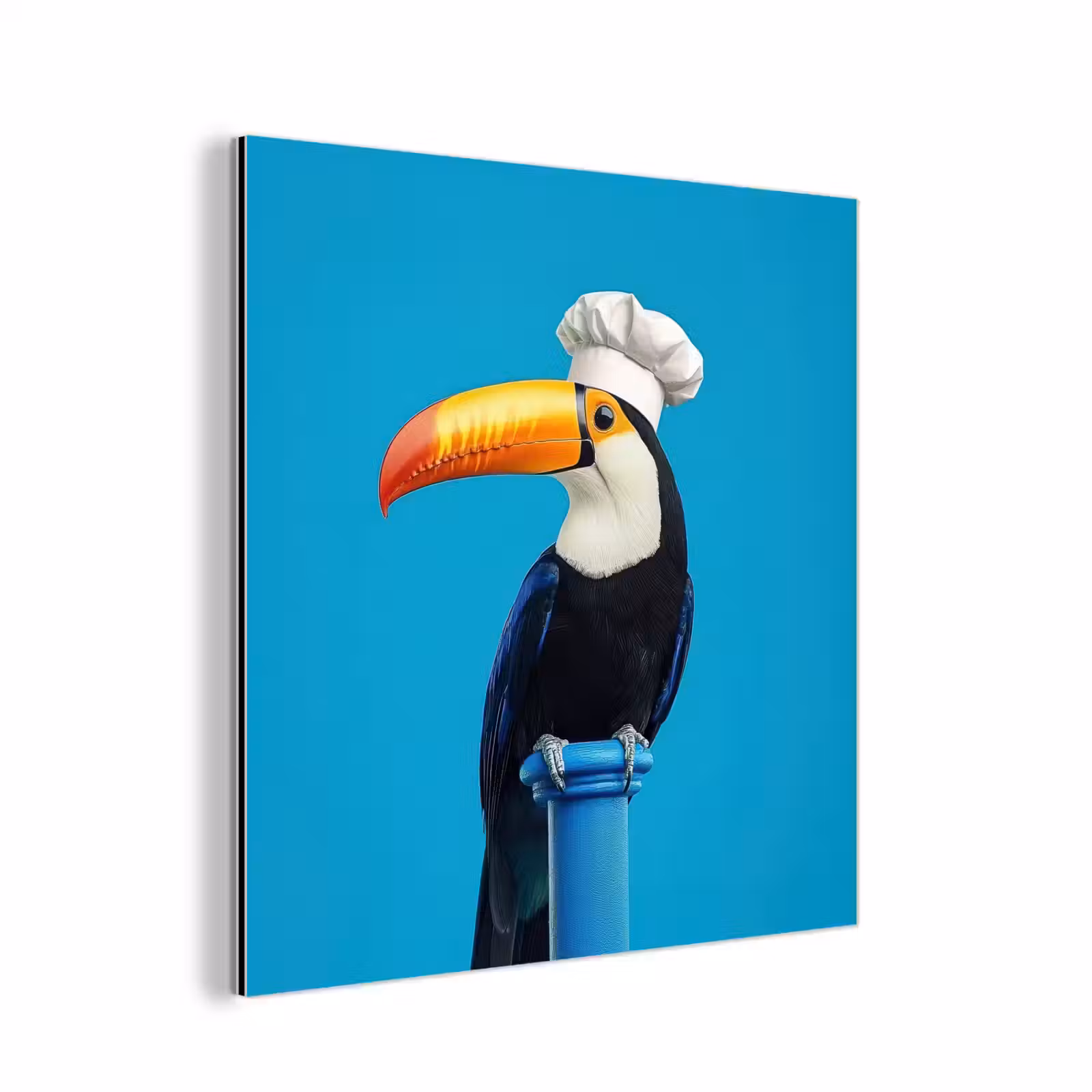 Aluminium schilderij - Tucan - Sokkel - Vogel - Koksmuts — 1