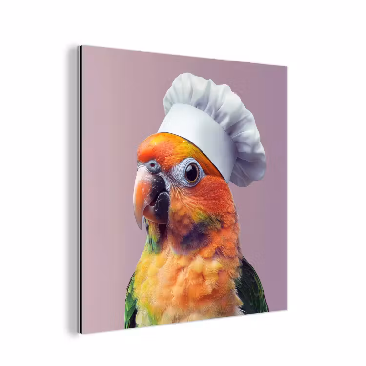Aluminium schilderij - Papegaai - Koksmuts - Nieuwsgierig - Vogel — 1