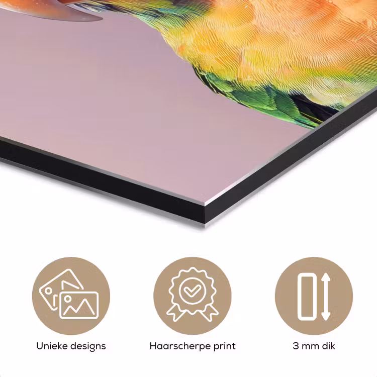 Aluminium schilderij - Papegaai - Koksmuts - Nieuwsgierig - Vogel — 7