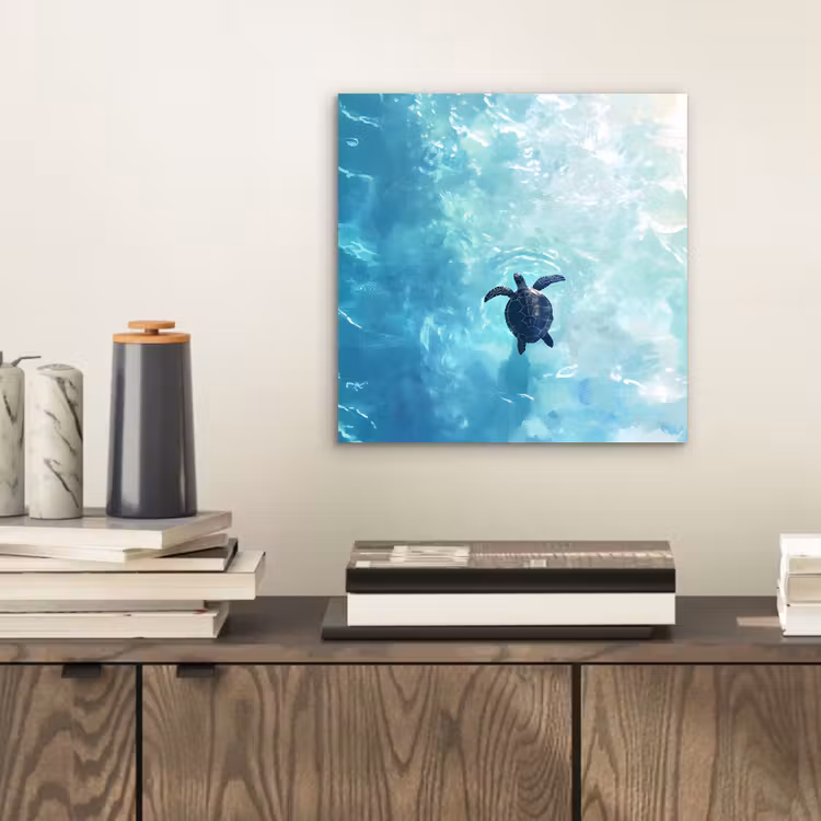 Aluminium schilderij - Schildpad - Zee - Blauw - Schittering — 2