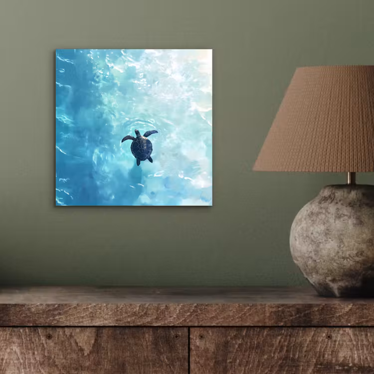 Aluminium schilderij - Schildpad - Zee - Blauw - Schittering — 3