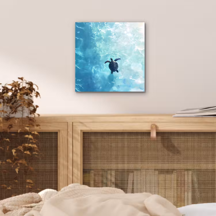 Aluminium schilderij - Schildpad - Zee - Blauw - Schittering — 4