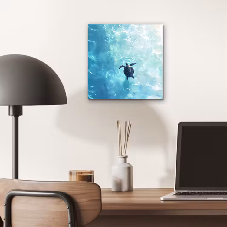 Aluminium schilderij - Schildpad - Zee - Blauw - Schittering — 6