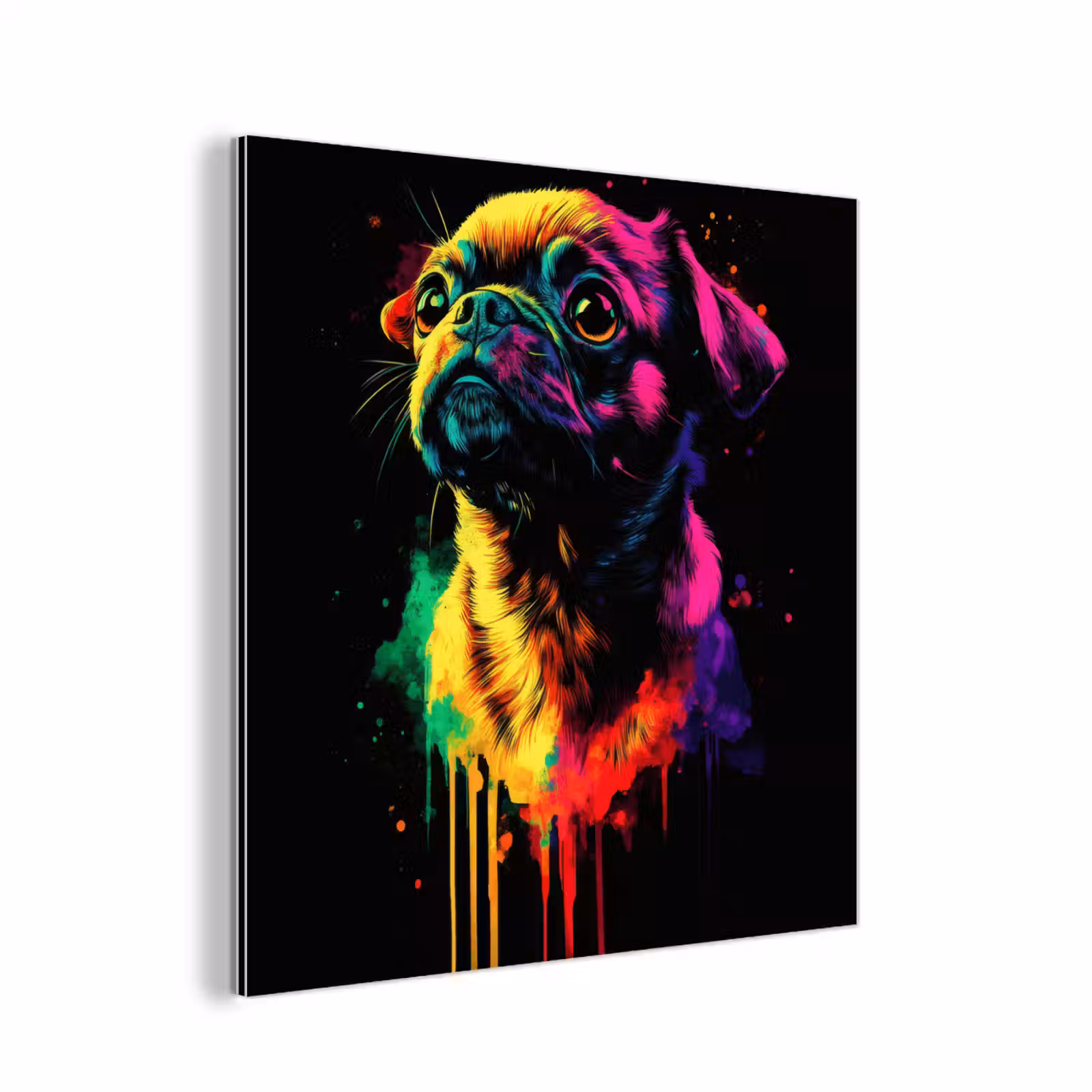 Aluminium schilderij - Puck - Hond - Verf - Kleuren — 1