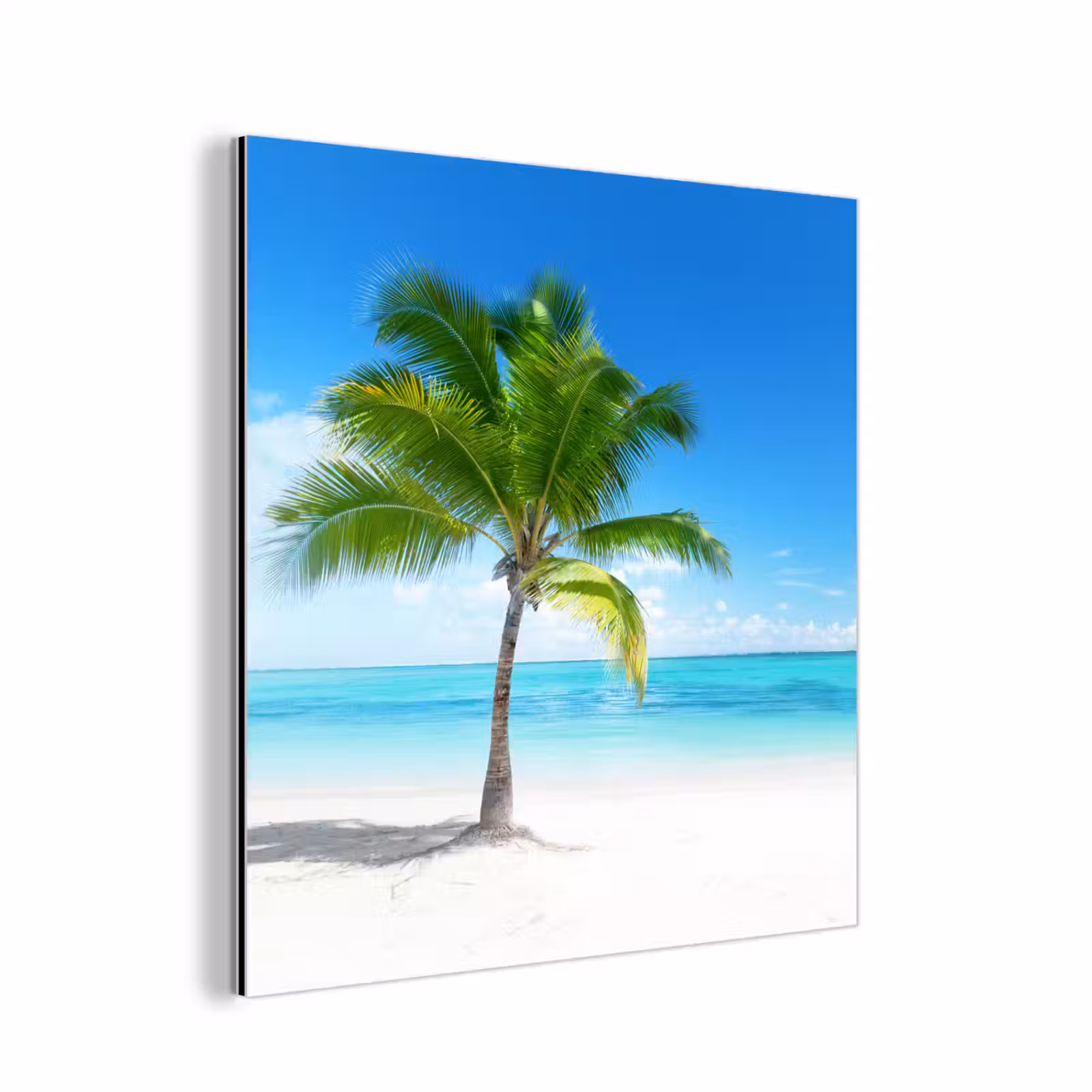 Aluminium schilderij - Palmboom - Strand - Zee - Zomer — 1