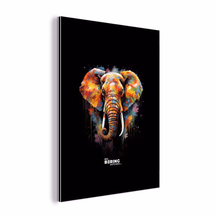 Aluminium schilderij - Olifant versierd met kleurrijke spetters — 1