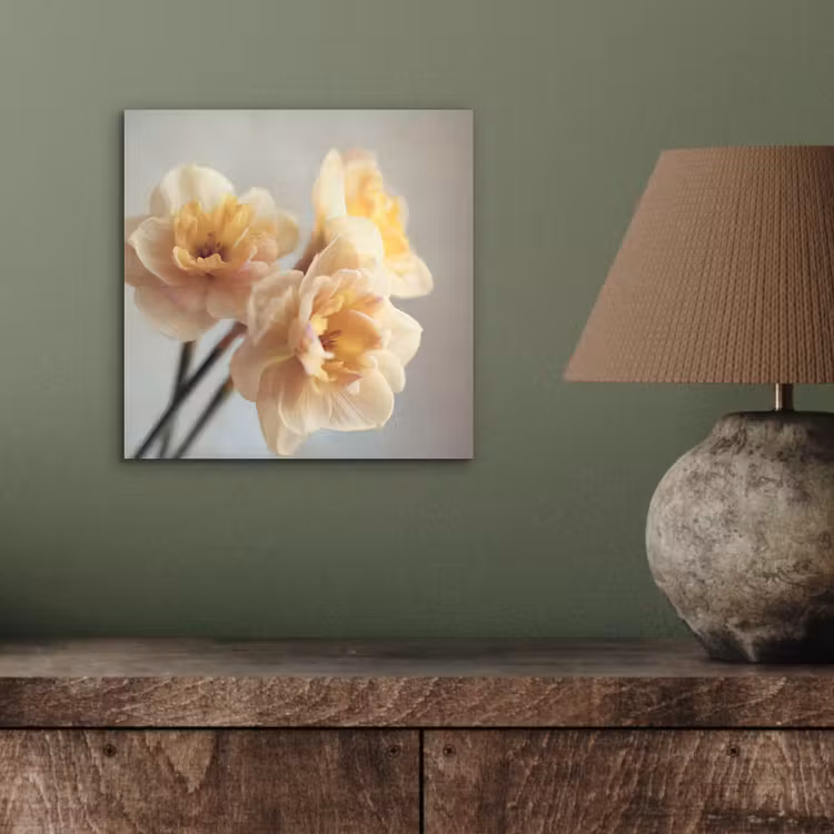 Aluminium schilderij - Narcissen - Geel - Bloemblaadjes — 3