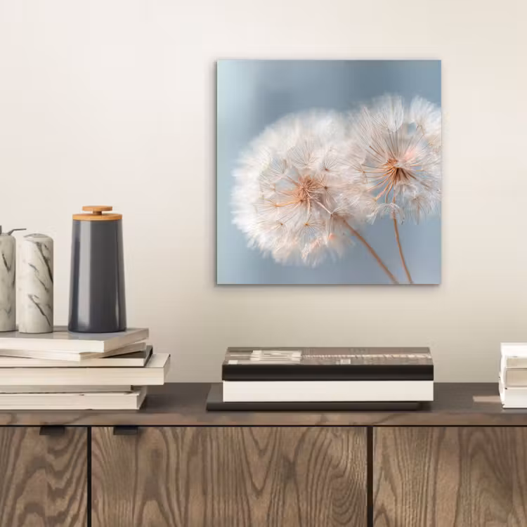 Aluminium schilderij - Paardenbloemen - Pluisjes - Wit — 2