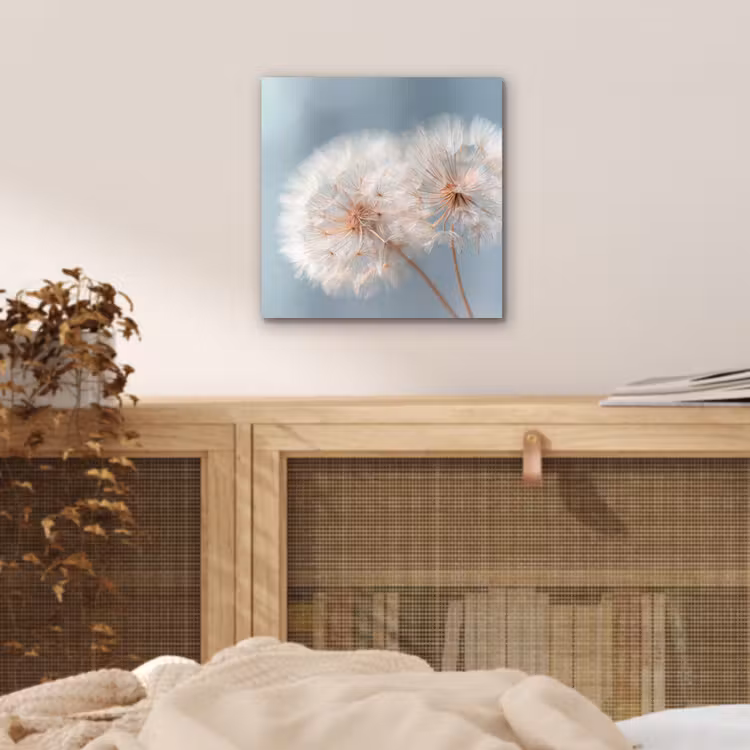 Aluminium schilderij - Paardenbloemen - Pluisjes - Wit — 4