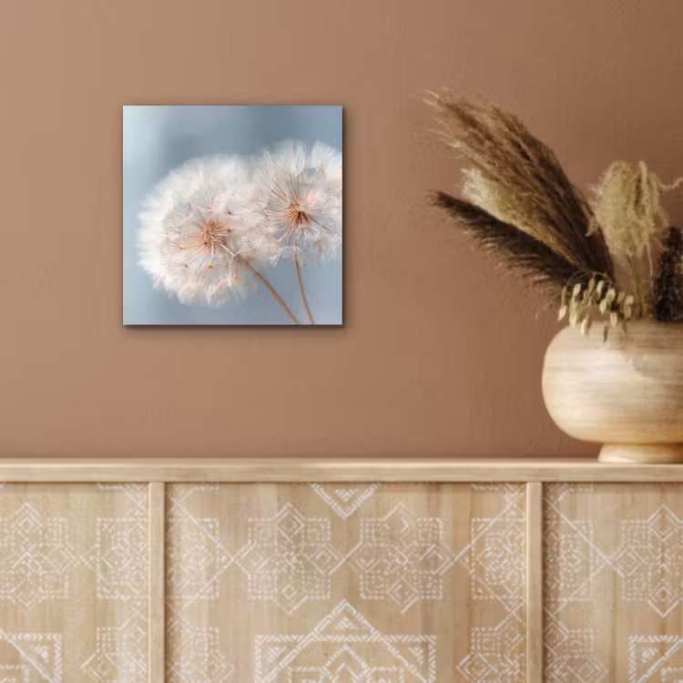Aluminium schilderij - Paardenbloemen - Pluisjes - Wit — 5