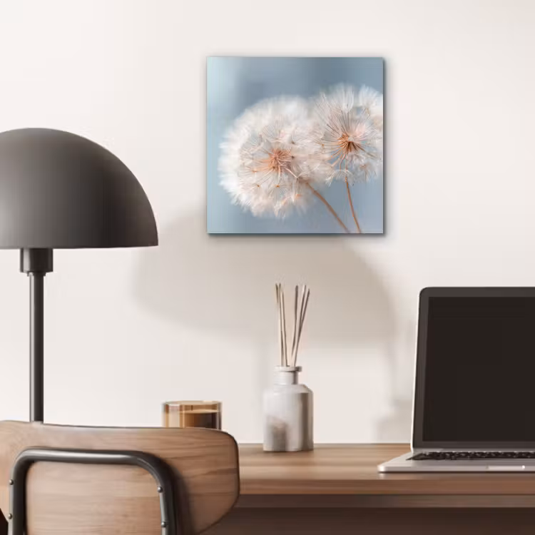 Aluminium schilderij - Paardenbloemen - Pluisjes - Wit — 6