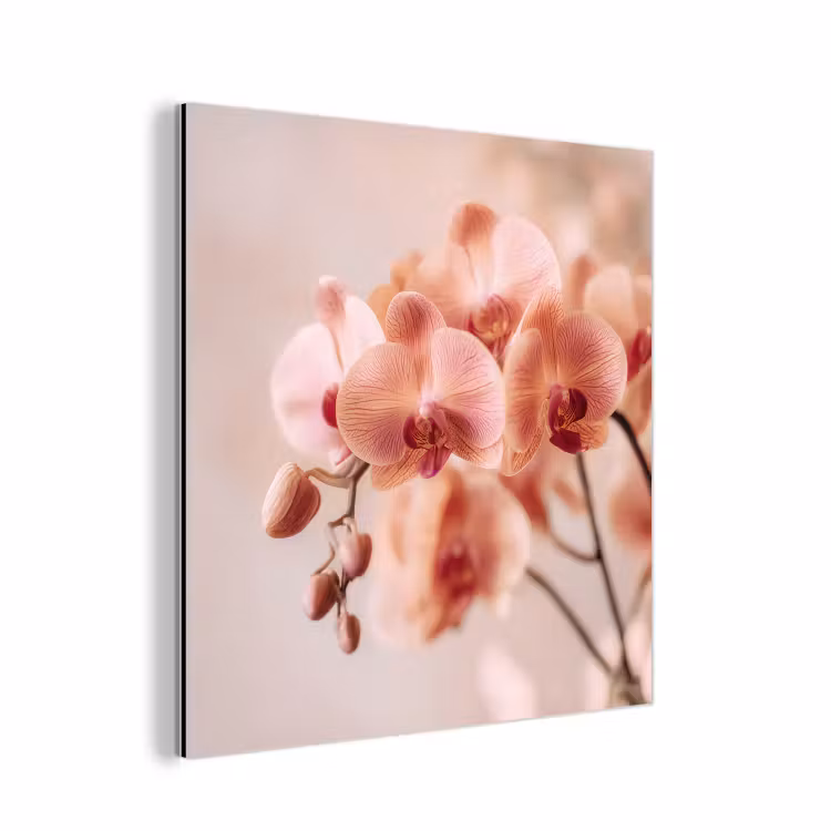 Aluminium schilderij - Orchidee - Bloemen - Roze - Bloemblaadjes — 1