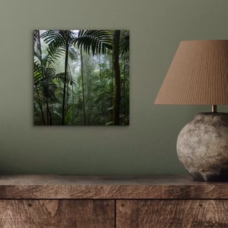 Aluminium schilderij - Regenwoud - Tropisch - Jungle - Bomen - Planten — 3