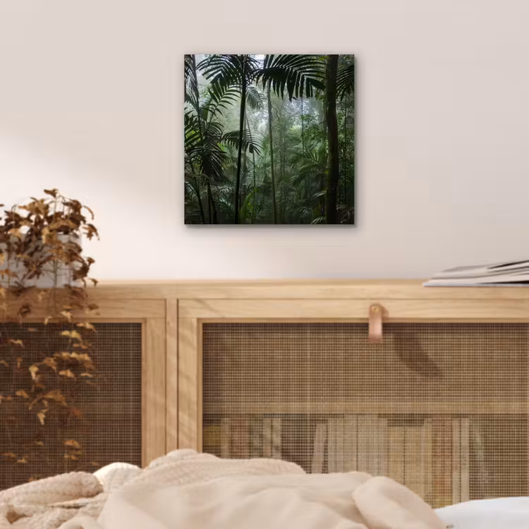 Aluminium schilderij - Regenwoud - Tropisch - Jungle - Bomen - Planten — 4