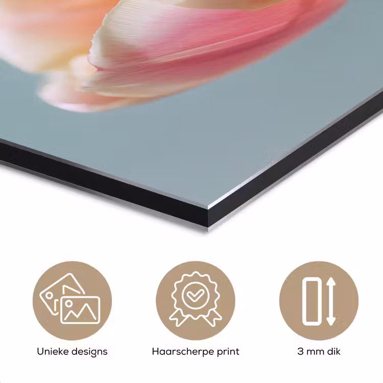 Aluminium schilderij - Tulpen - Roze - Stelen — 7