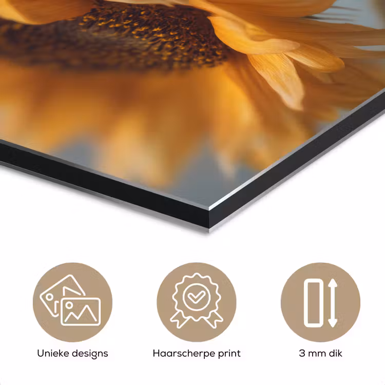 Aluminium schilderij - Zonnebloemen - Geel - Wazig — 7