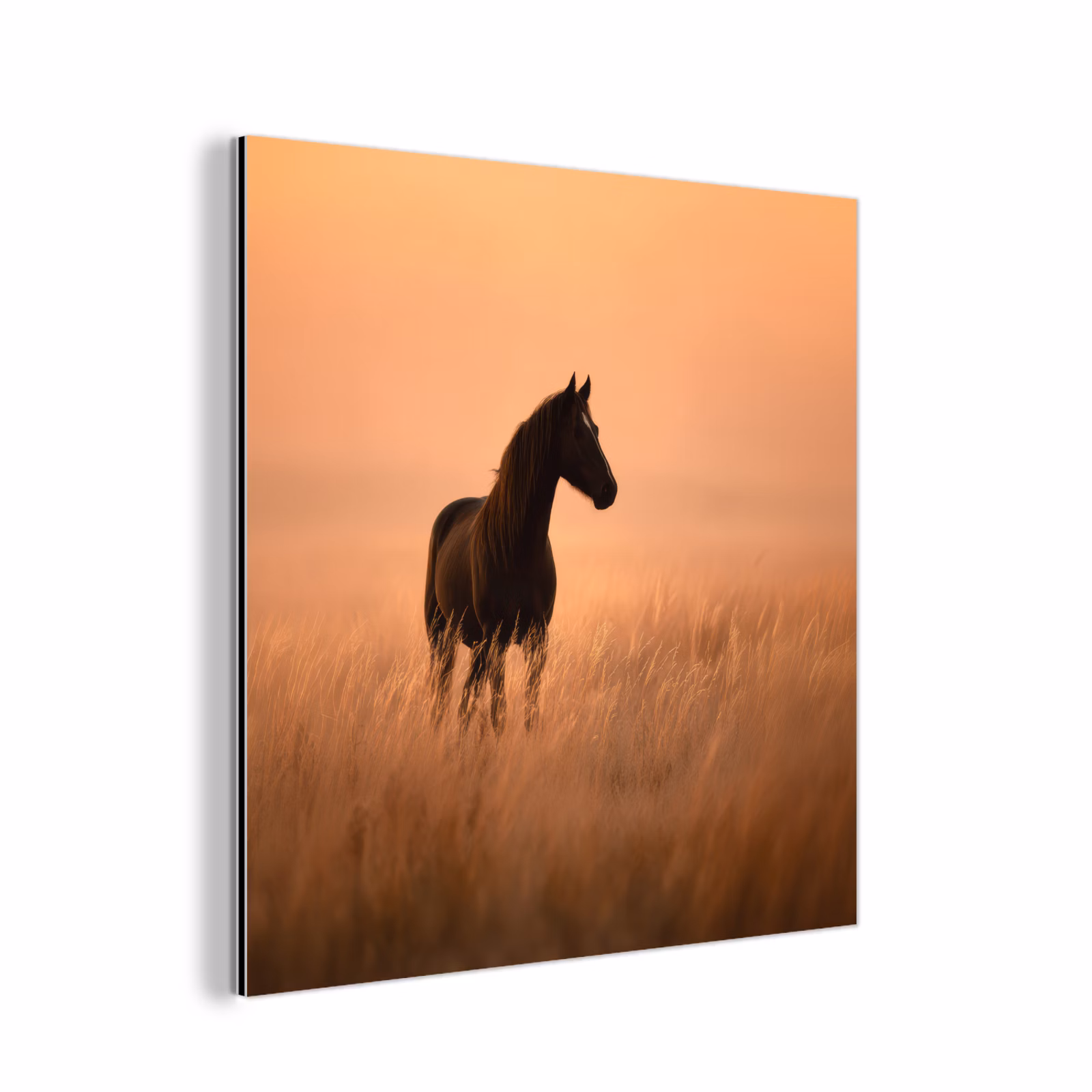 Aluminium schilderij - Paard - Grasveld - Zonsondergang — 1
