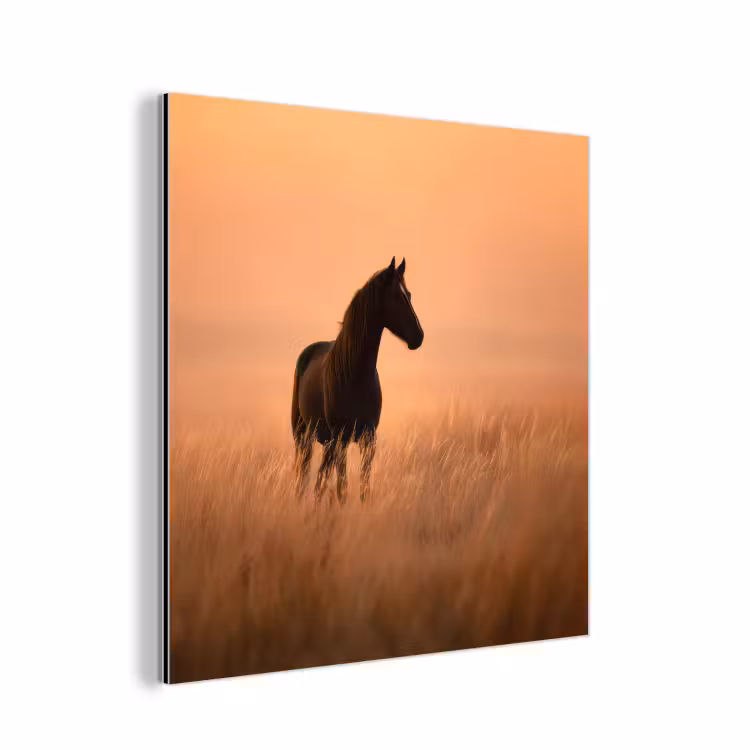 Aluminium schilderij - Paard - Grasveld - Zonsondergang — 1