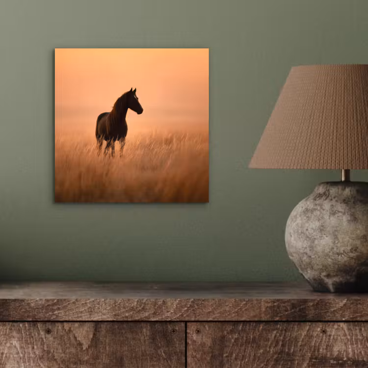 Aluminium schilderij - Paard - Grasveld - Zonsondergang — 3