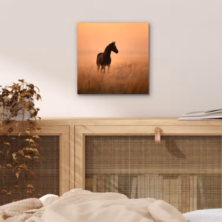 Aluminium schilderij - Paard - Grasveld - Zonsondergang — 4
