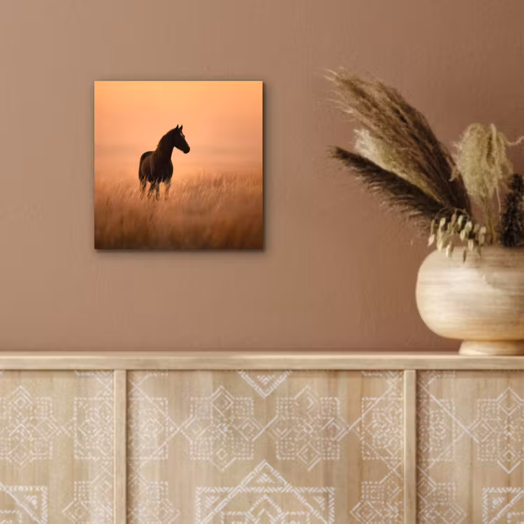 Aluminium schilderij - Paard - Grasveld - Zonsondergang — 5