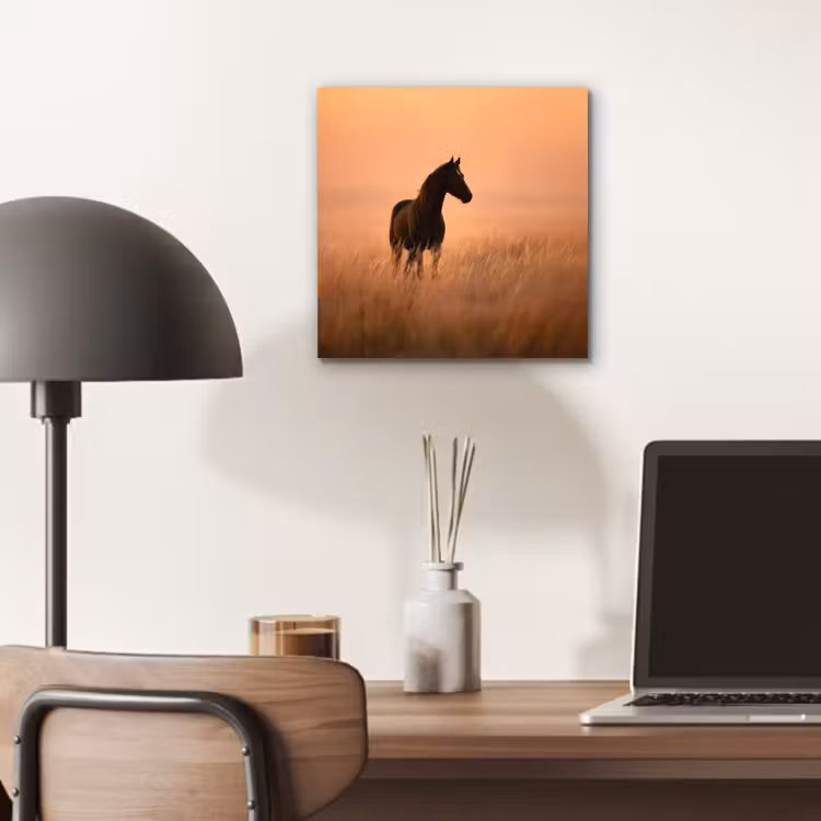 Aluminium schilderij - Paard - Grasveld - Zonsondergang — 6