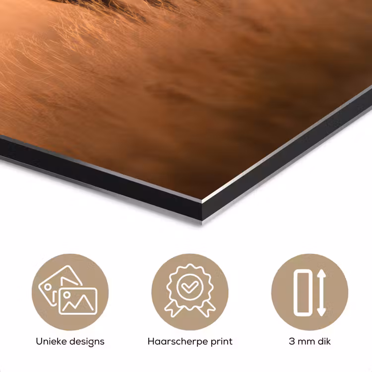Aluminium schilderij - Paard - Grasveld - Zonsondergang — 7