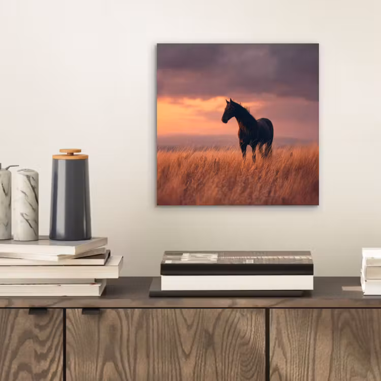 Aluminium schilderij - Paard - Wolken - Open veld — 2