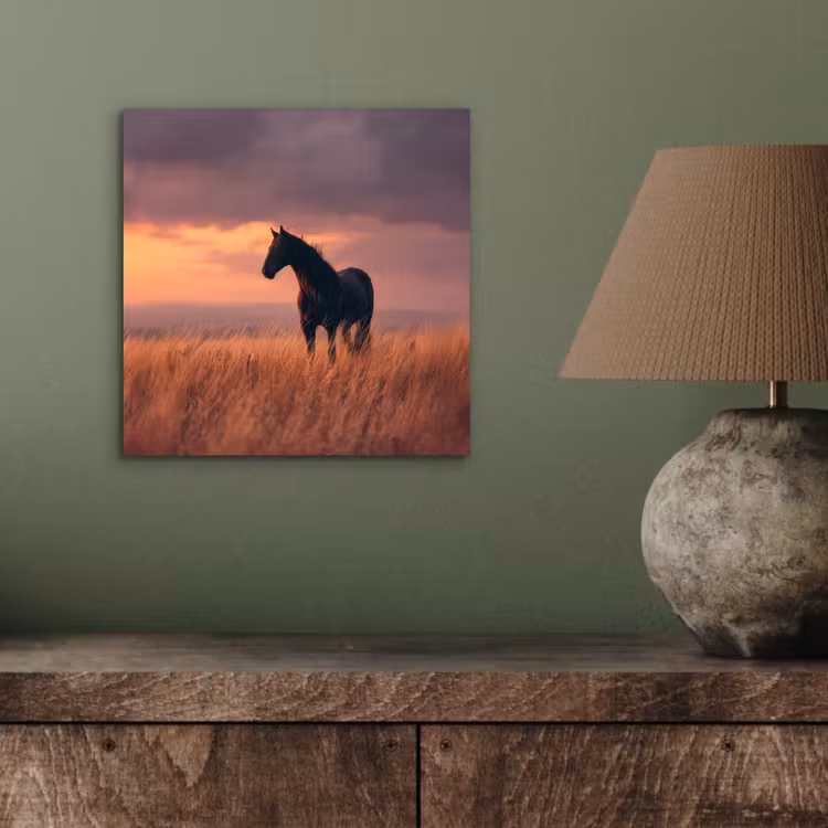 Aluminium schilderij - Paard - Wolken - Open veld — 3