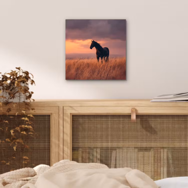 Aluminium schilderij - Paard - Wolken - Open veld — 4
