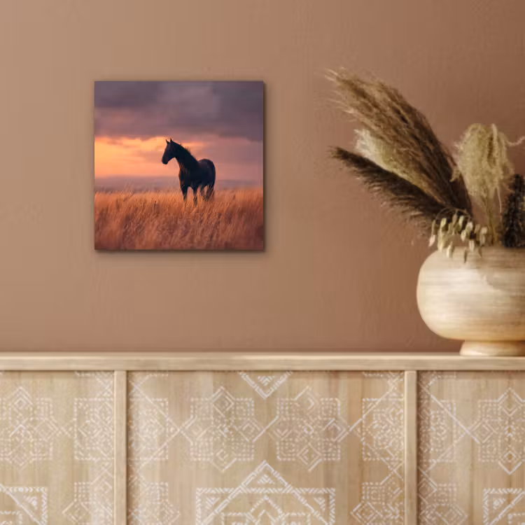 Aluminium schilderij - Paard - Wolken - Open veld — 5
