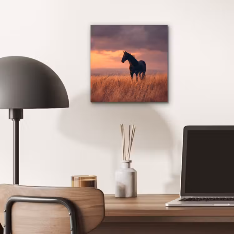 Aluminium schilderij - Paard - Wolken - Open veld — 6
