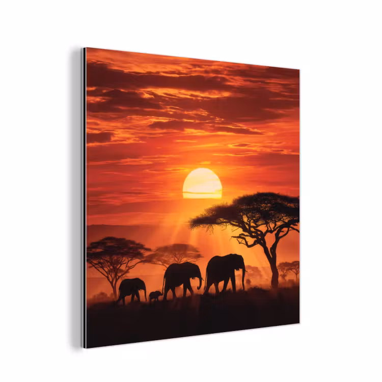 Aluminium schilderij - Savanne - Olifanten - Zonsondergang — 1